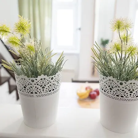 N28 Next To Andrassy Boulevard. Apartamento *