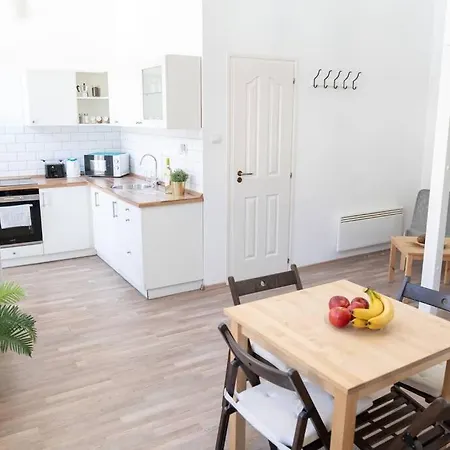 Apartment N28 Next To Andrassy Boulevard.